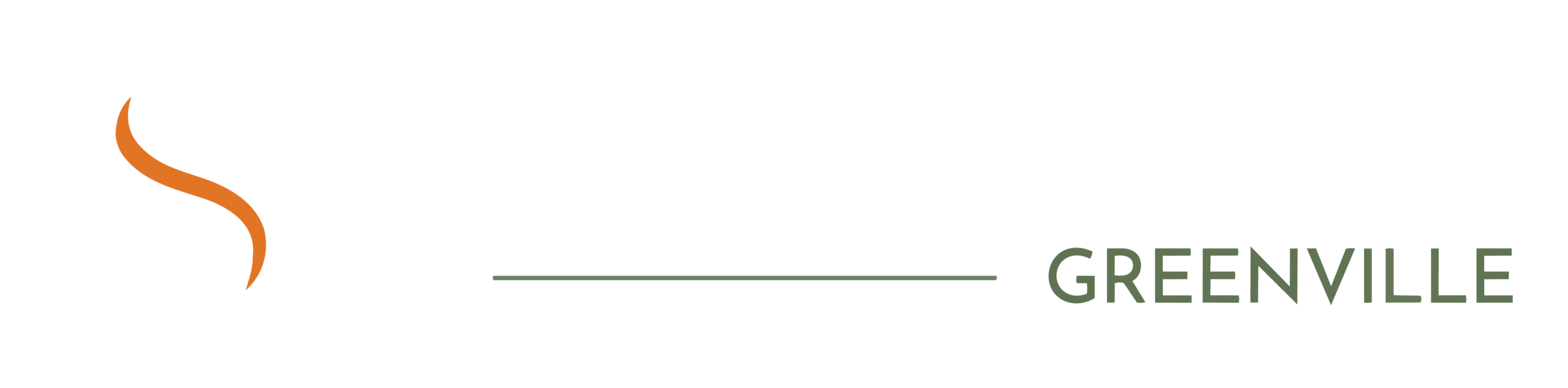 GColorHozirontalWHITE